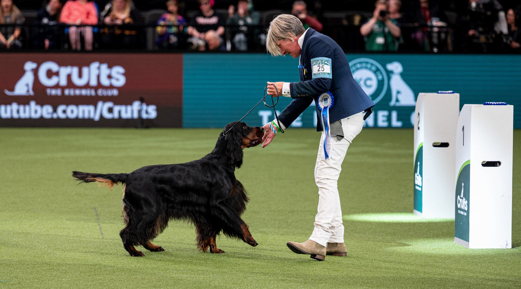 Crufts puppy shop pen for sale